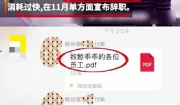 网曝热门事件2024网页版 网红黑料黑料正能量,网红黑料与正能量交织的网曝风云