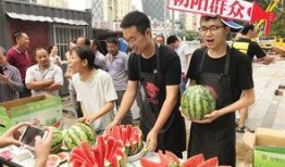 最有料官网 51热心的朝阳区群众今日吃瓜,51热心今日瓜田，吃瓜群众纷纷围观